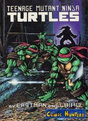 Teenage Mutant Ninja Turtles Book 1