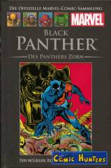 Black Panther: Des Panthers Zorn
