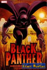 Who is the Black Panther?