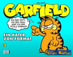 Garfield - Ein Krater von Format