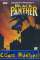 small comic cover Marvel Knights: Black Panther 