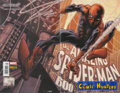 Im Netz von Spider-Man (Variant Cover-Edition)
