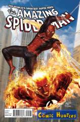 Spider-Man and the Human Torch Save the Universe (Variant Cover-Edition)
