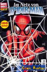 Im Netz von Spider-Man