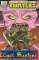 small comic cover Teenage Mutant Ninja Turtles New Animated Adventures 3