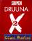 small comic cover Druuna X 2