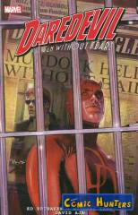 Daredevil By Ed Brubaker & Michael Lark Ultimate Collection