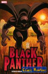 Black Panther: Wer ist Black Panther?