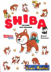 Shiba - Ein Hund zum verlieben