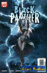 Bride of the Panther, Part 5: Here Come A Storm (Michael Turner Variant Cover)