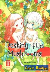 Destiny of the Mushrooms