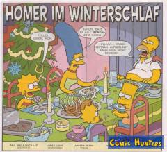 Homer im Winterschlaf